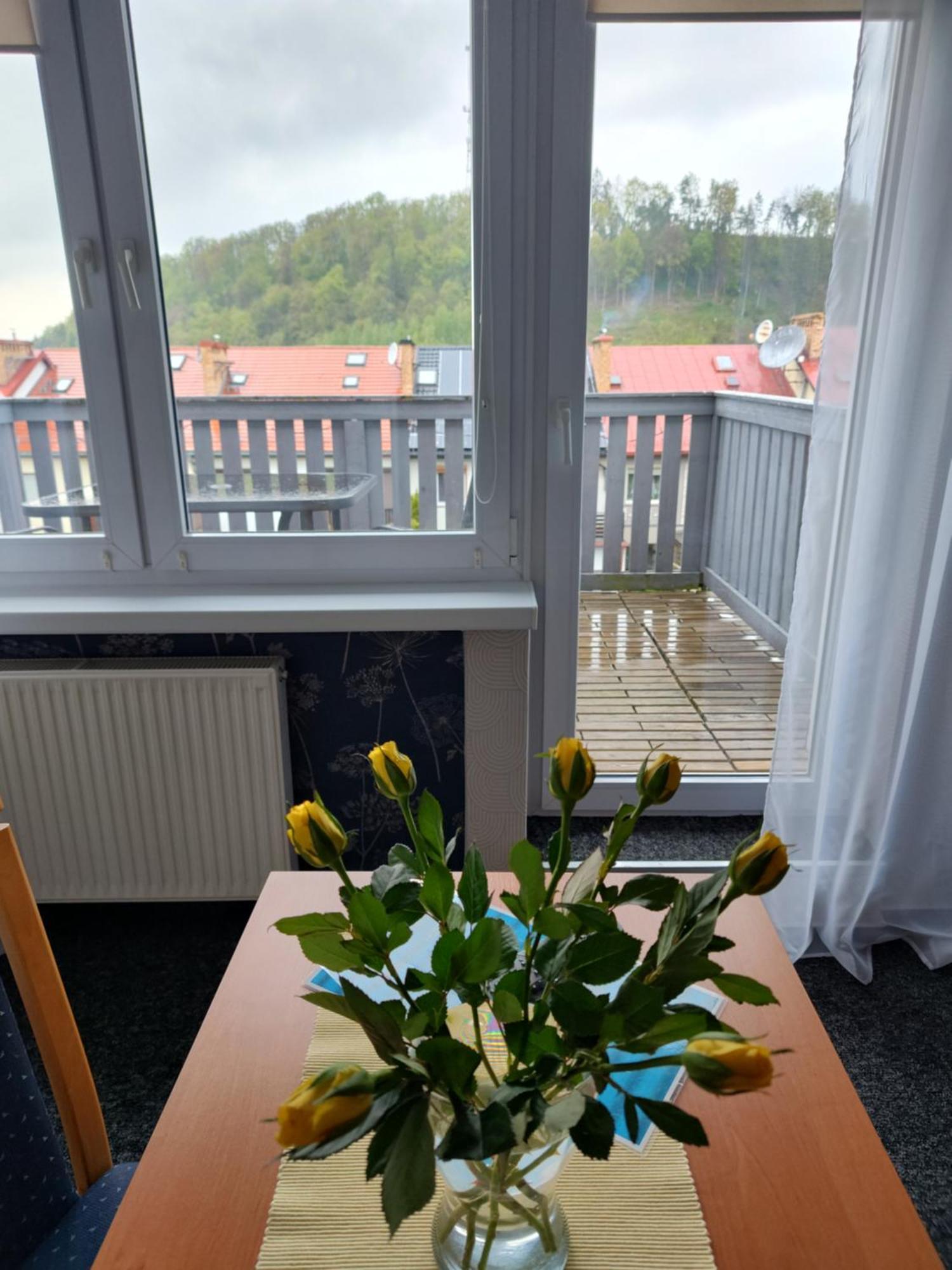 Apartamenty Hejszowina Kudowa-Zdrój Kültér fotó