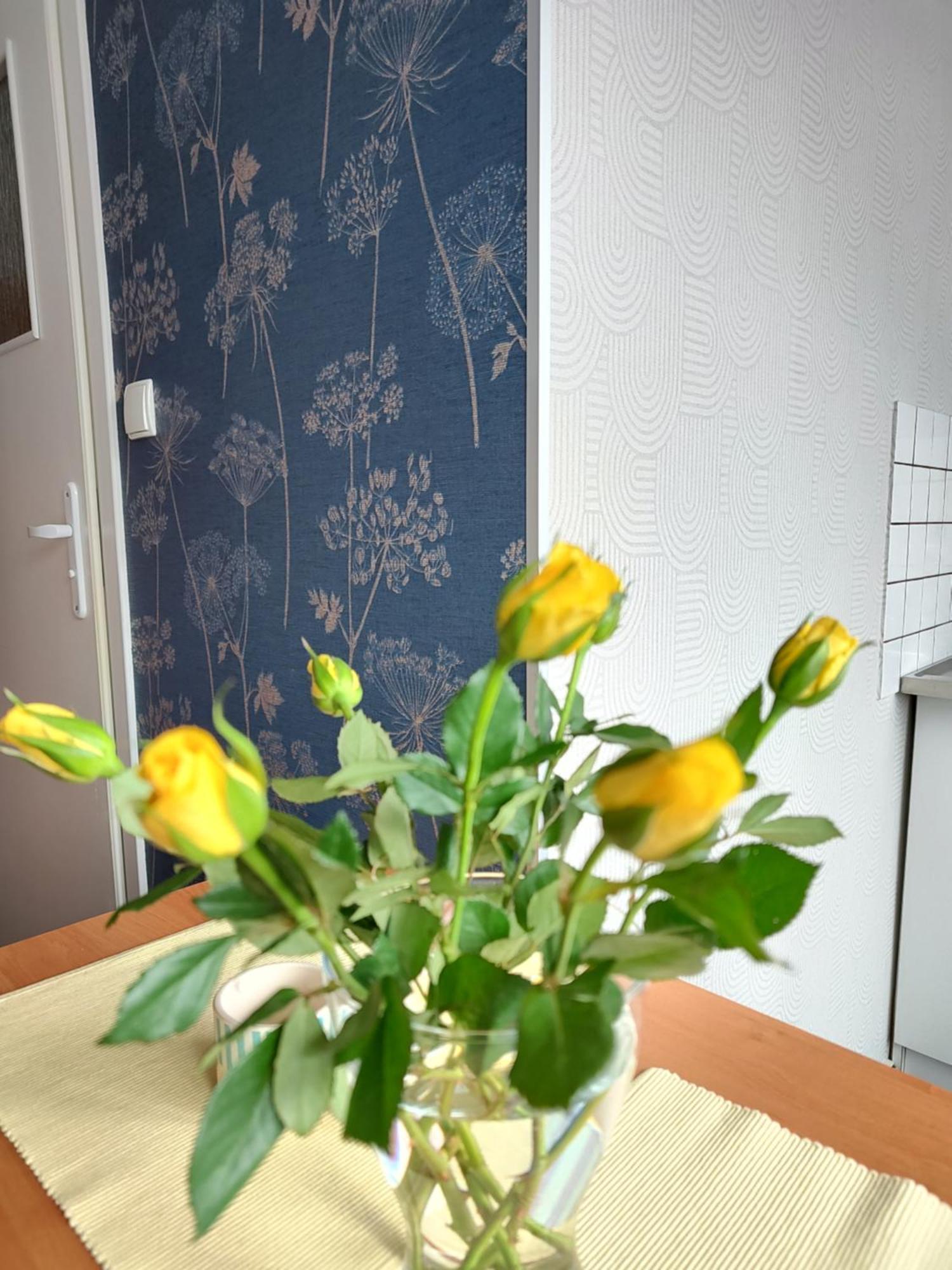 Apartamenty Hejszowina Kudowa-Zdrój Kültér fotó
