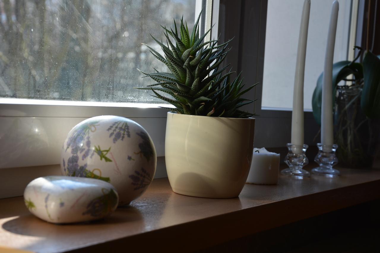 Apartamenty Hejszowina Kudowa-Zdrój Kültér fotó